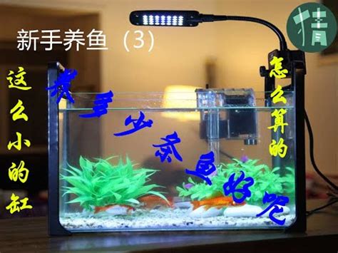 魚缸養魚數量|魚缸可以養幾隻魚？掌握飼養密度，用好水妖精讓管理更輕鬆